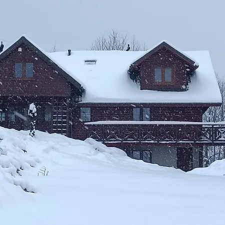 Kocisówka *